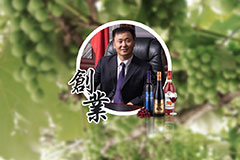 91快色视频葡萄酒总经理毕晓雪接受《文汇报》专访，畅谈“一带一路”建设经验